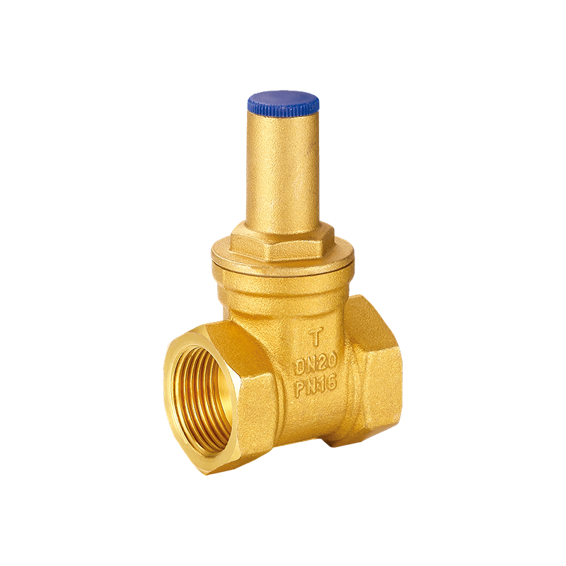 Valvola a saracinesca in ottone mancante meccanica YH-102